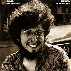 David Bromberg - Demon In Disguise