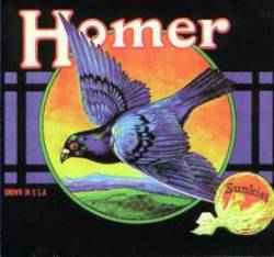 Homer - Homer
