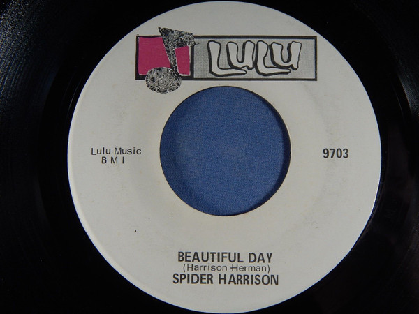 Spider Harrison - Beautiful Day