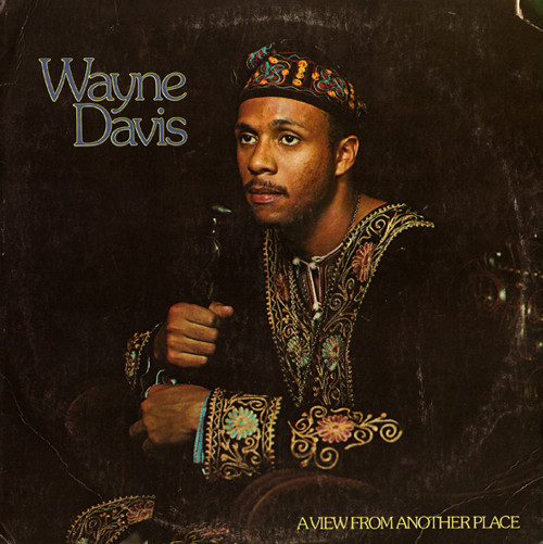 Wayne Davis - A View From Another Place
