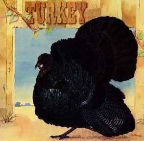 Wild Turkey - Turkey